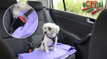 Policijska kronika za junij