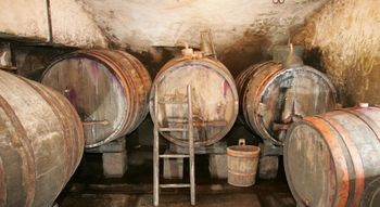 Policijska kronika za september