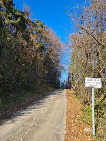 Vzdrževalna dela na gozdnih cestah