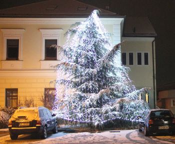 Prva pošiljka snega in prižig prazničnih luči na Polzeli Prva pošiljka snega in prižig prazničnih luči na Polzeli