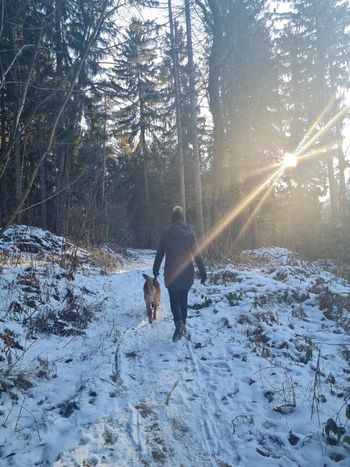 Pasji iztrebki spadajo v koš