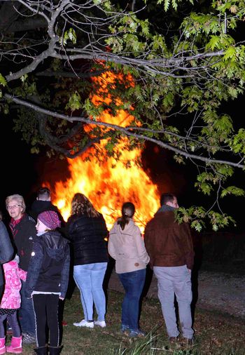 Letos le šest prostih dni in 255 delovnih