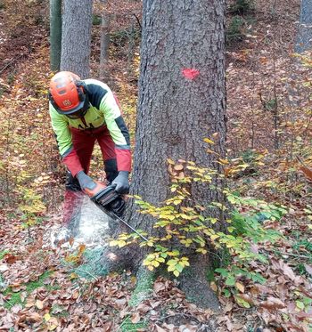 Darko Uratnik s Podvina pri Polzeli je najskrbnejši lastnik gozda za leto 2020 na območju Zavoda za gozdove Slovenije, Območna enota Celje