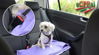 Policijska kronika – junij 2021