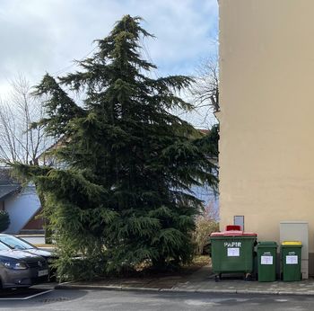 Vključitev v sistem ravnanja z odpadki je obvezna