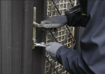 Policijska kronika - februar 2023