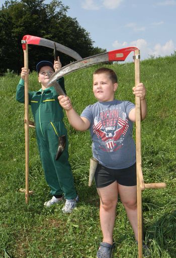 Ostre kose, mrzle rose …