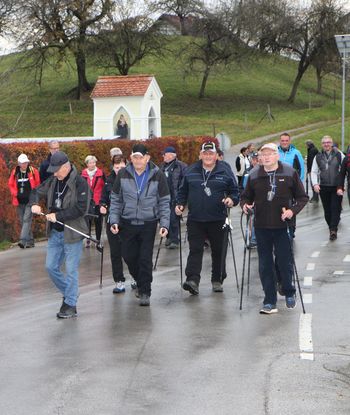 Martinov pohod po vinskih poteh Andraža nad Polzelo