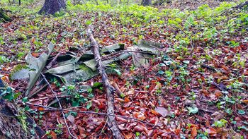 Čistilna akcija – Polzela 2019