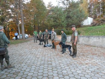 Poročilo s preizkušnje JPZ za ptičarje 