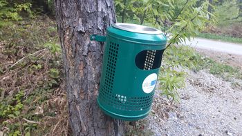 Dan Zemlje: drevo ni obešalnik, ampak živo bitje