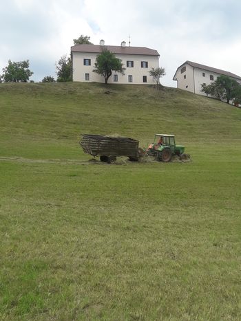 Košnja in spravilo sena 
