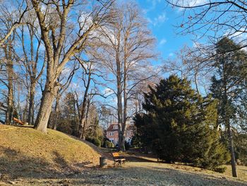 Urejanje poti v parku Šenek