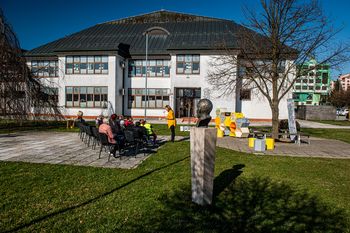 Čebela je brala med