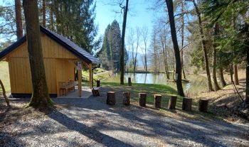 Krajevni odbor Založe