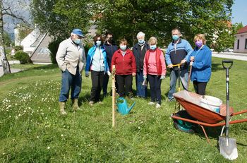 Zasaditev lipe ob 50-letnici Hortikulturnega društva Polzela