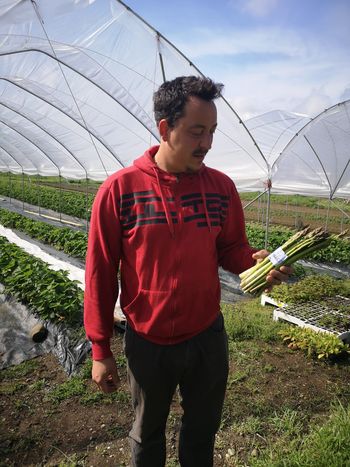 Na njun vrt po domače vrtnine