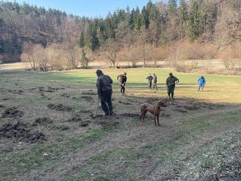 Največ škode "narili" prašiči