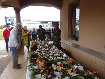 Letošnje zadnje srečanje članic in članov Gobarsko-mikološkega društva Polzela