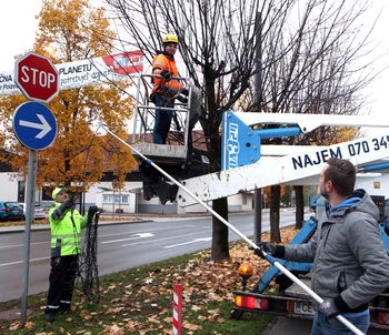 Polzela v belih lučkah