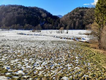 Povzetek z zbora članov Društva za varovanje narave Ložniško gričevje