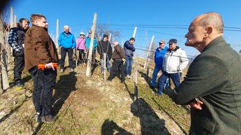 Vinogradniki v andraškem vinogradu Vinogradniki v andraškem vinogradu