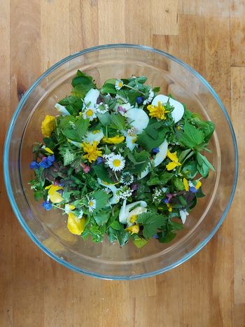 Petek, 6. 5. 2022, ob 18.00 - Delavnica: Priprava divje spomladanske solate