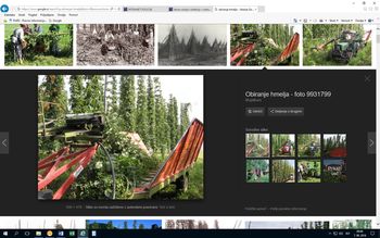 Policijska kronika - julij 2022