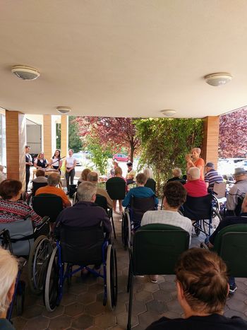 Razstava slik cvetja, čebel in panjskih končnic