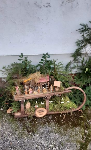 Jaslice okrog župnijske cerkve