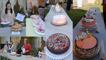 6. tradicionalno tekmovanje tort v Novem kloštru
