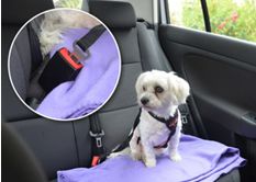 Policijska kronika - junij 2023