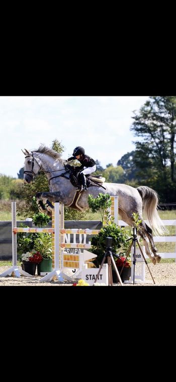 Uspešna mlada jahalka