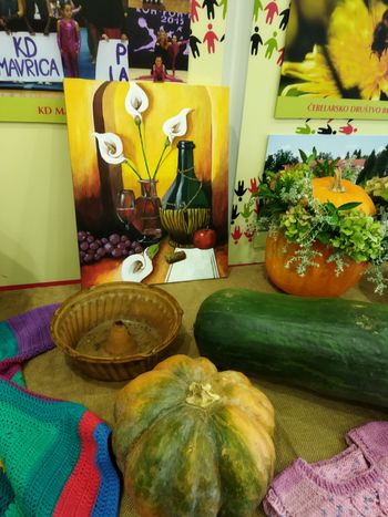 Buče in bučke, v živo in na slikah