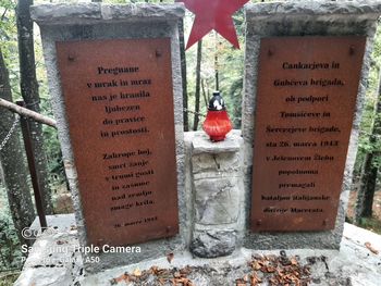 Jesenska ekskurzija v Ribnico