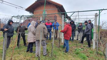 Strokovno srečanje članov Društva savinjskih vinogradnikov