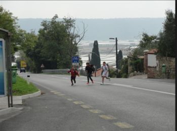 Policijska kronika - maj 2024