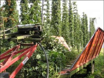 Policijska kronika – julij 2024  