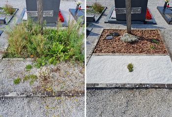 Urejenost pokopališča in grobnih prostorov