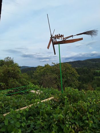 V Andražu nad Polzelo zaklopotal klopotec V Andražu nad Polzelo zaklopotal klopotec