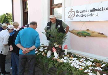 Praznovanje 20-letnice in razstava 145 vrst gob