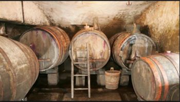 Policijska kronika – september 2024