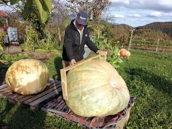 Orjakinja iz Andraža nad Polzelo