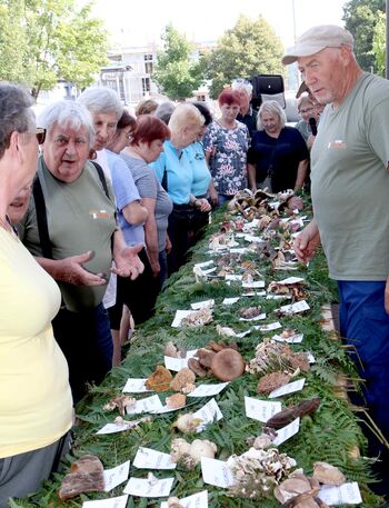 Na razstavi kar 112 vrst gob