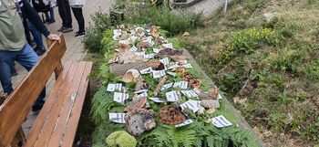 Gobarsko srečanje na Gori Oljki