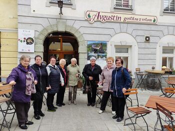 Skupina Oljka na Brezjah 