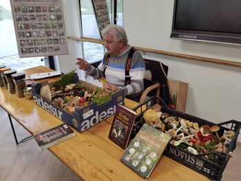 Predavanje o gobah v Domu upokojencev Polzela