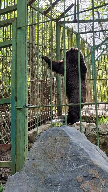 Sončen dan, še polnejša srca članic DU Andraž