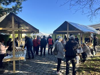Veselo Martinovo popoldne v Založah