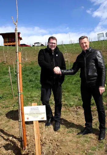 Županova lipa - simbol povezovanja, čebel in skupne prihodnosti